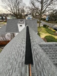 Professional roof maintenance