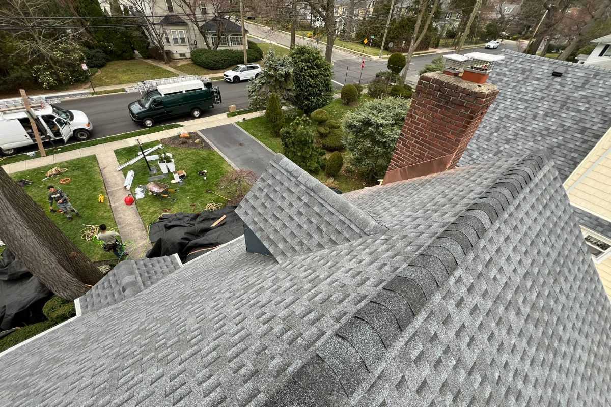 Professional roof maintenance